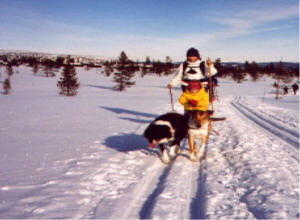 Skinnarbu Høyfjellshotell 